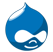Drupal Developer